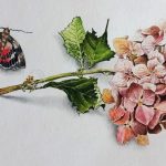 آموزشگاه هنرهای تجسمی نو رَهان در شیراز | آموزش نقاشی و هنرهای تجسمی با مدرک بین‌المللی